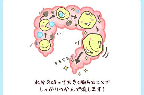 �C�T�S�[��,�t�B�u������,�֔����,����